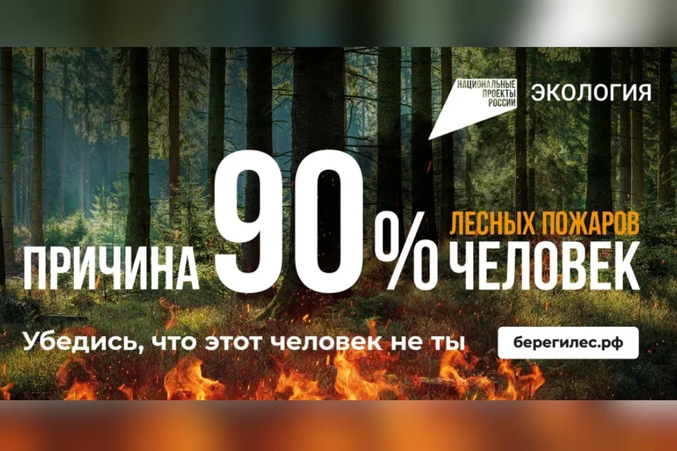 wr-960.webp